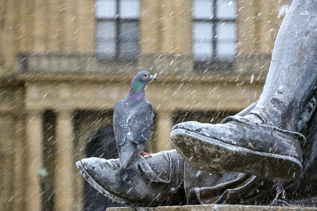 Stadtansicht von Kitzingen - Baufinanzierung mit Finanzkanzlei Bayern